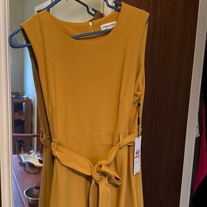 Calvin Klein NWT Dress Size 12